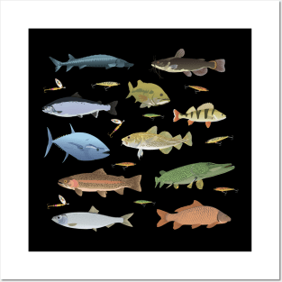 Fish and Baits Posters and Art